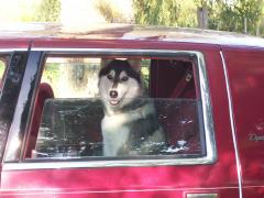 Saturday September 29, 2007 04:52 - Picture 006.jpg